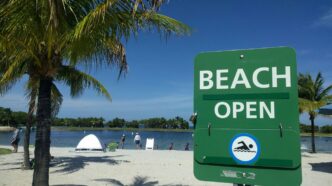 Beach Open seashore during daytime