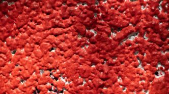 a close up of a red and black surface