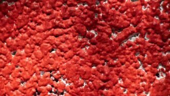 a close up of a red and black surface