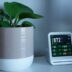 Plant next to a device displaying readings.