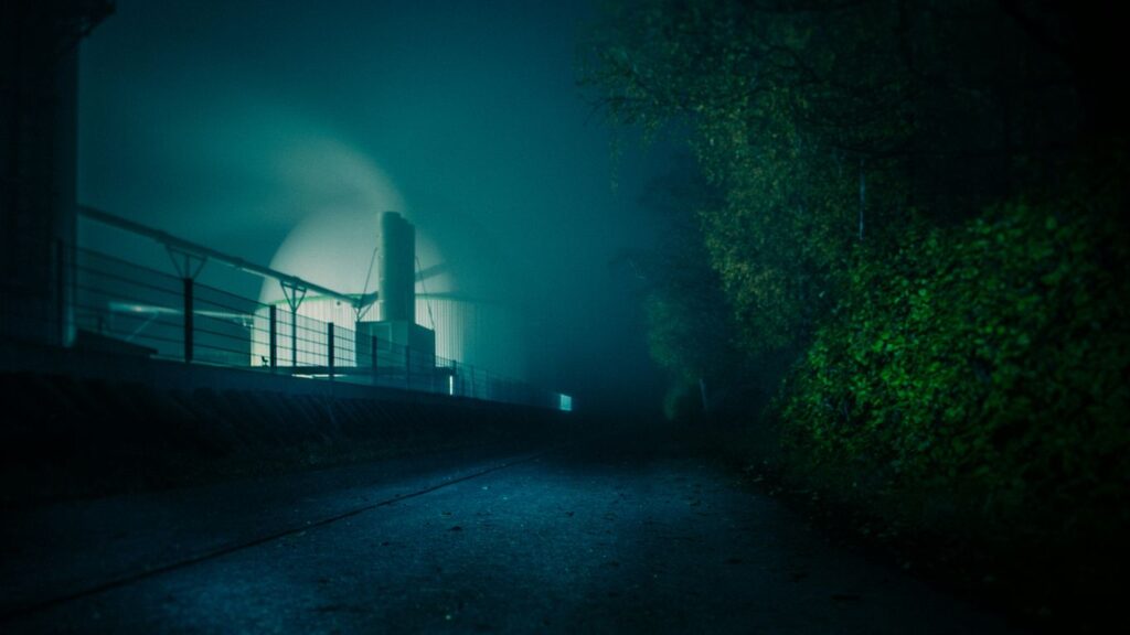 green trees near brown wooden dock during night time
