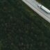 aerial view of road between green trees during daytime