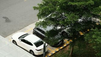 two cars parked in a parking lot next to a tree