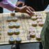 person playing board game