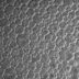 a close up of water droplets on a glass surface