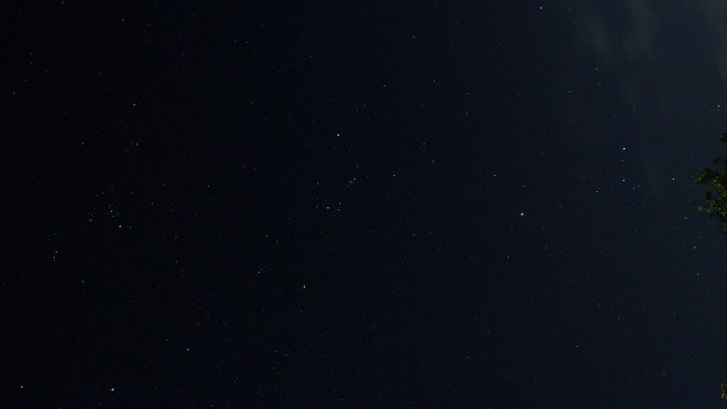 a night sky with stars and a tree