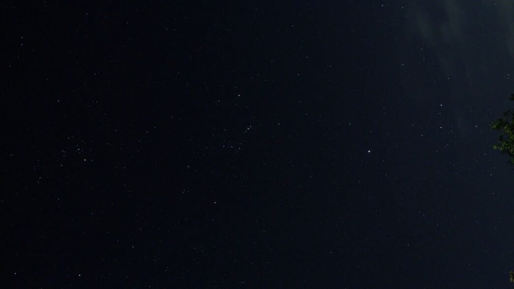 a night sky with stars and a tree