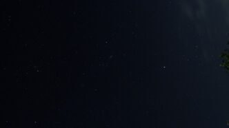 a night sky with stars and a tree