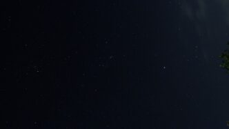 a night sky with stars and a tree