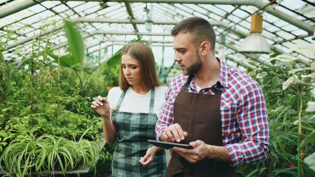Two people examining plants in a greenhouse