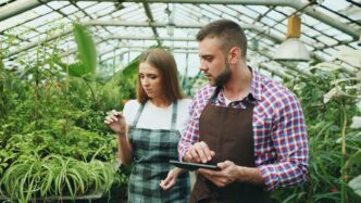 Two people examining plants in a greenhouse