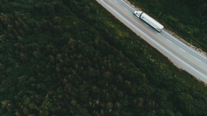 aerial view of road between green trees during daytime