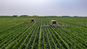green grass field under white sky during daytime