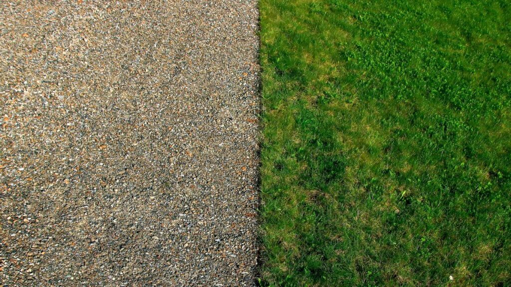 top view of green sod