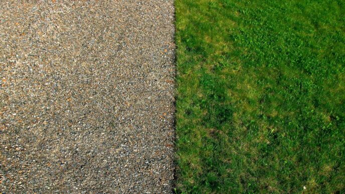 top view of green sod