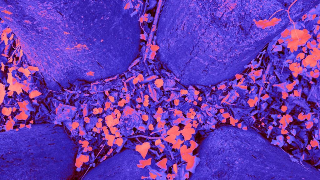 a close up of a blue cloth