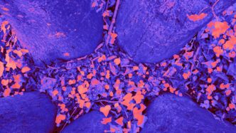 a close up of a blue cloth