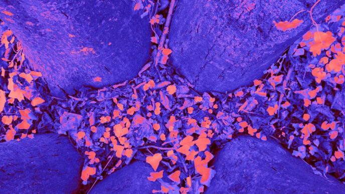 a close up of a blue cloth