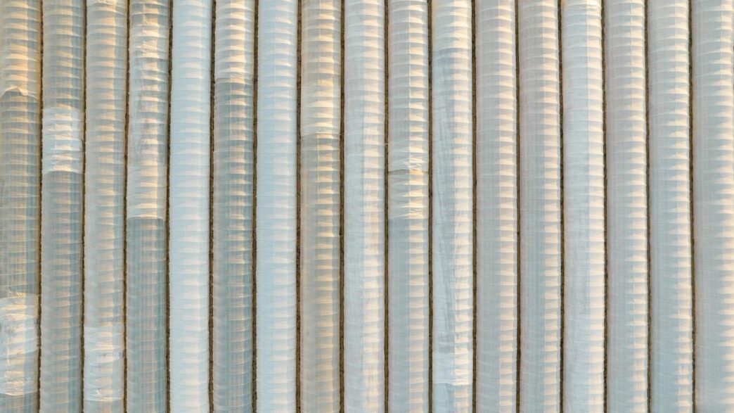 a bird sitting on top of a window sill