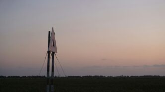 a wind vane in the middle of a field