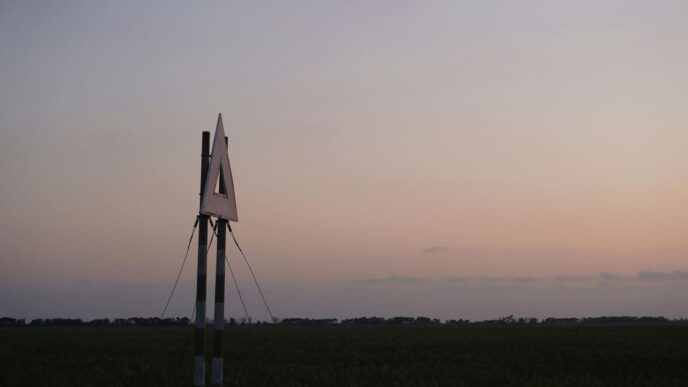 a wind vane in the middle of a field