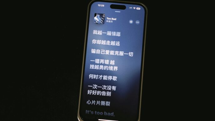 A phone displays song lyrics in chinese.