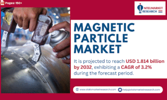 Global Magnetic Particle Market