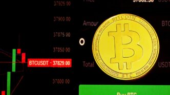 gold and black round logo