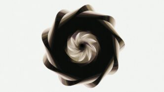 A spiraling dark form against a white background.