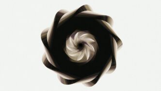 A spiraling dark form against a white background.