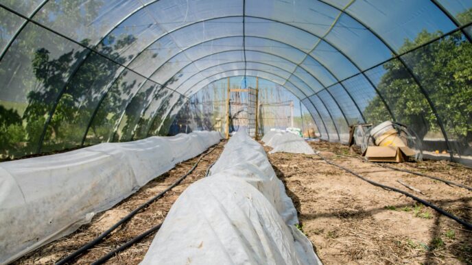 white tent on brown soil
