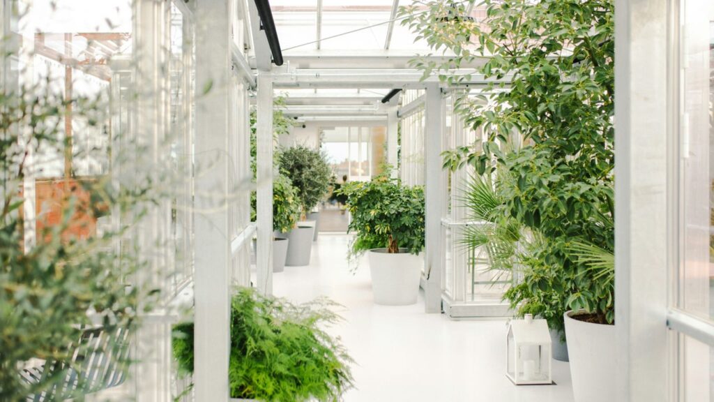 a hallway with potted plants