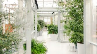 a hallway with potted plants