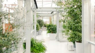 a hallway with potted plants
