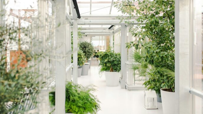 a hallway with potted plants