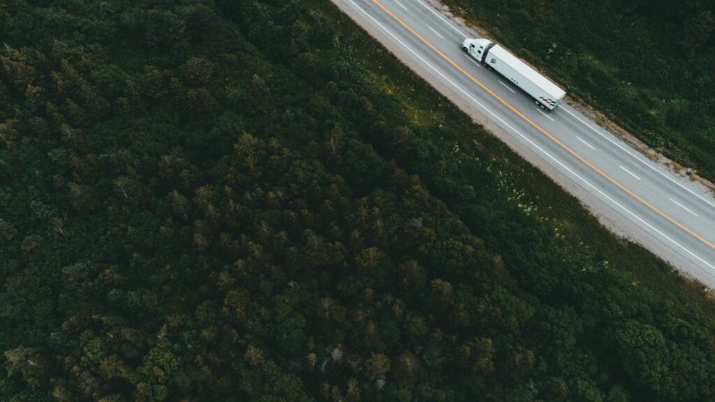 aerial view of road between green trees during daytime