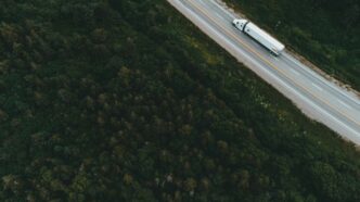aerial view of road between green trees during daytime