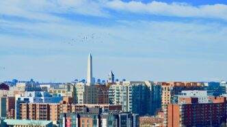 city skyline under blue sky during daytime
