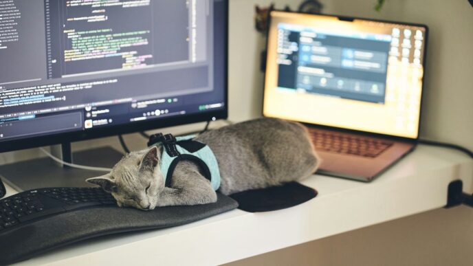 a cat wearing a harness sleeping on a computer desk
