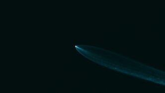 A close up of a surfboard in the dark