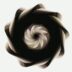 A spiraling dark form against a white background.