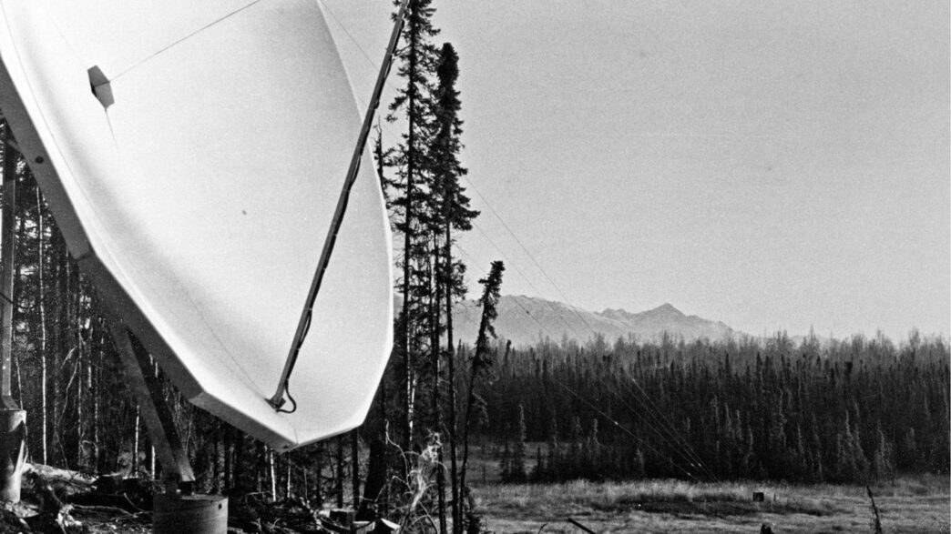 Large satellite dish in a forest clearing