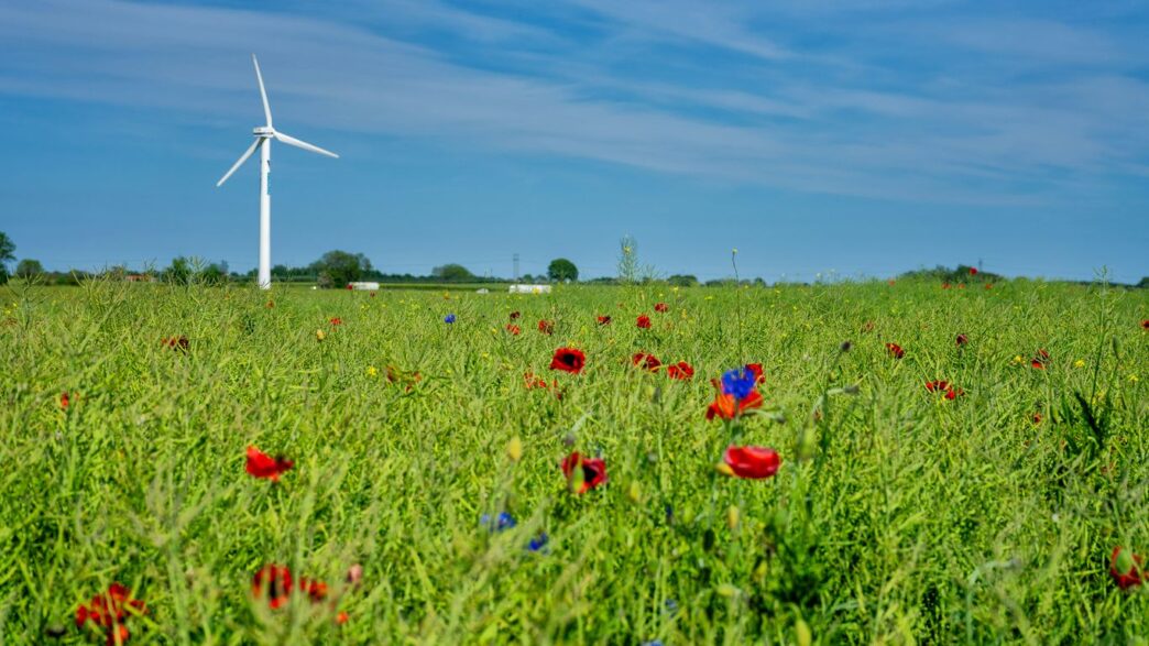 a field with a wind turbine in the background
