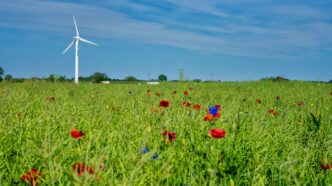 a field with a wind turbine in the background