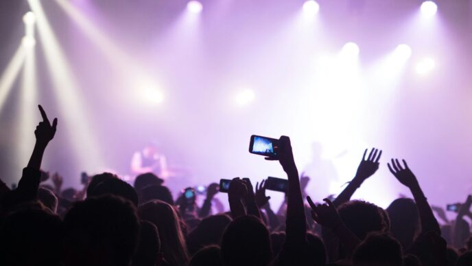 group of people enjoying concert