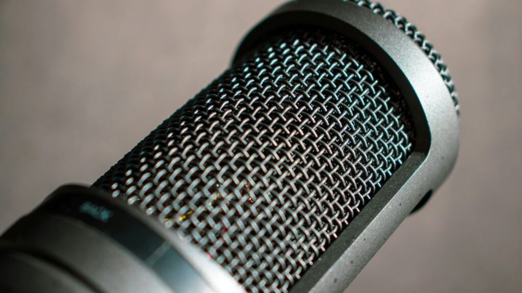 closeup photography of condenser microphone