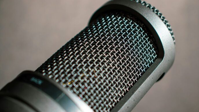 closeup photography of condenser microphone