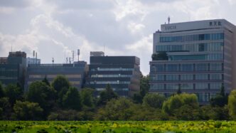 Modern office buildings behind lush green foliage