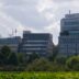 Modern office buildings behind lush green foliage