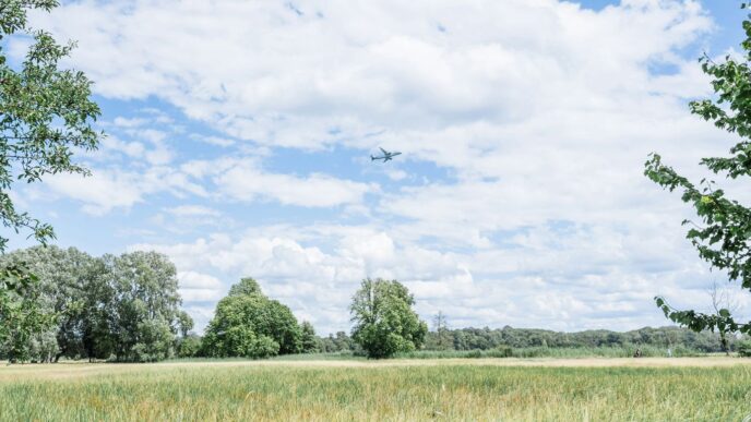 A grassy field with trees and clouds in the background